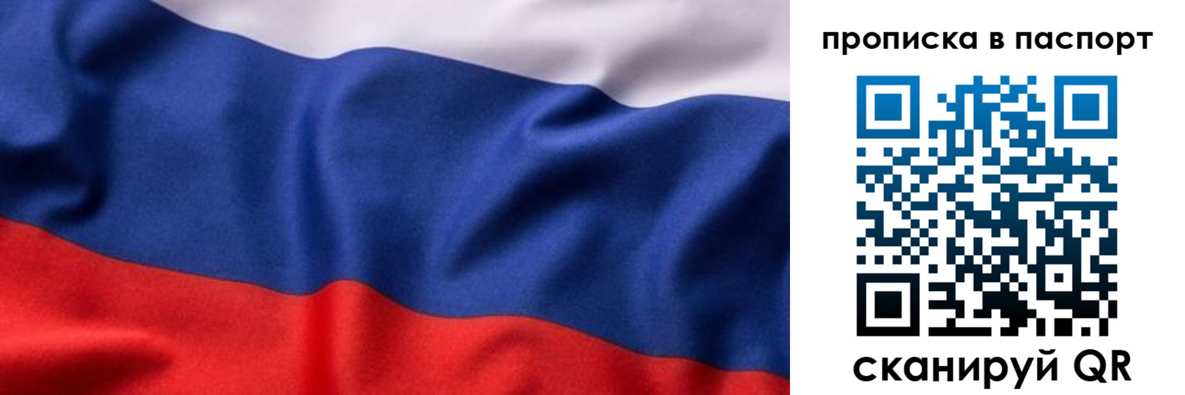 прописка для школы в Купино